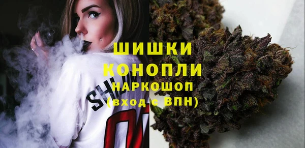 прущий лед Арсеньев