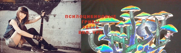 прущий лед Арсеньев