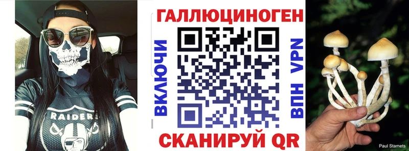 Галлюциногенные грибы MAGIC MUSHROOMS  Пудож 